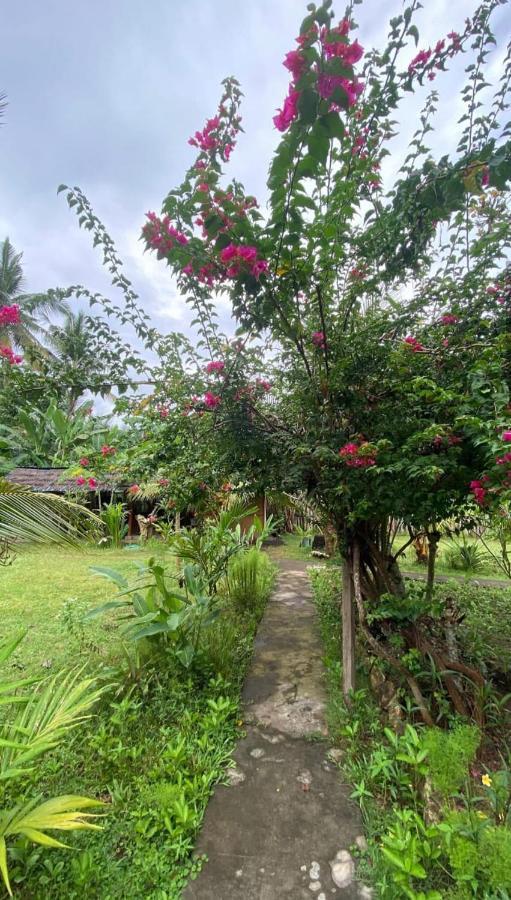 Kubu Artha Bungalow Nusa Penida Ped Exterior foto