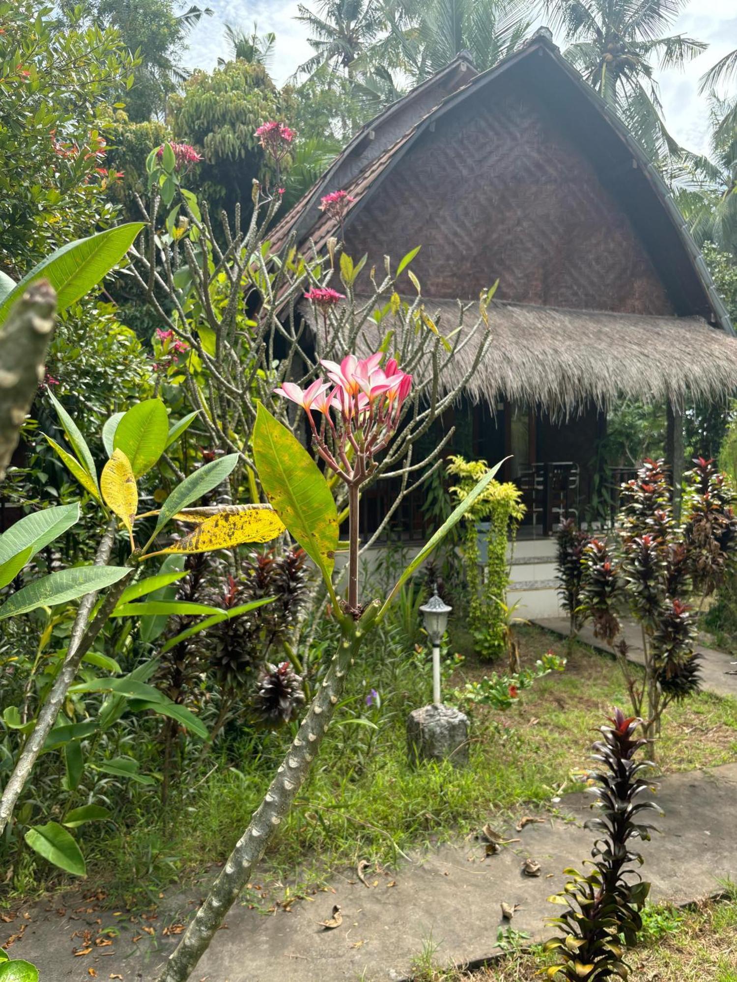 Kubu Artha Bungalow Nusa Penida Ped Exterior foto
